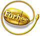 Docusearch.com was awarded Forbes Favorite Web Site