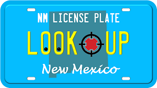 mexico license plate search results
